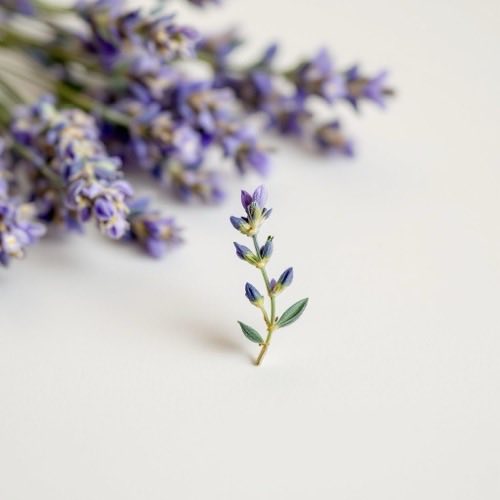 Lavender oil ingredient