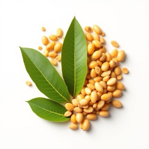 Aceite de argán en nueces naturales