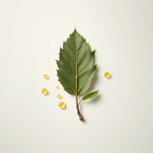 Aceite esencial de canela