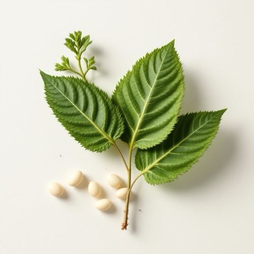 Cardo mariano, ingrediente natural