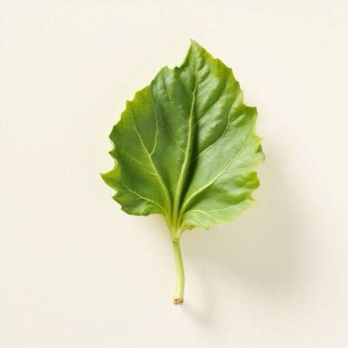 Bitter melon