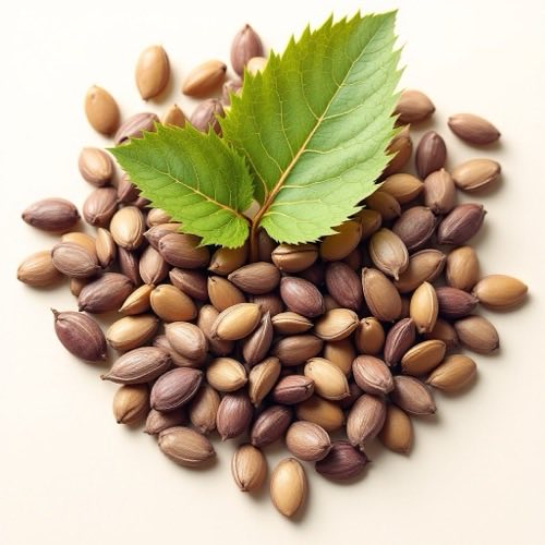 Pumpkin seed