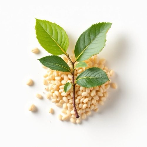 Ekstrakt z Boswellia serrata
