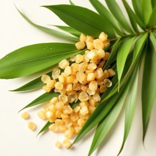 Ekstrakt z palmy sabałowej (Serenoa repens)