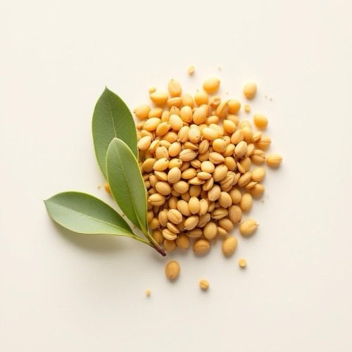 Extrato de folhas de oliveira