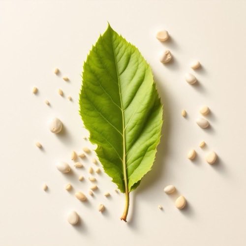 Extrato de plantas naturais