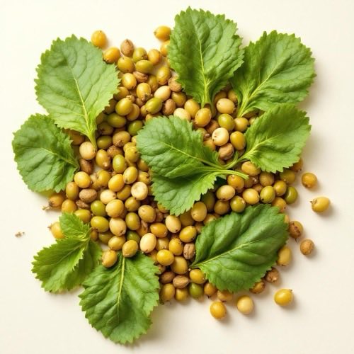 Folhas verdes de hortelã-pimenta frescas
