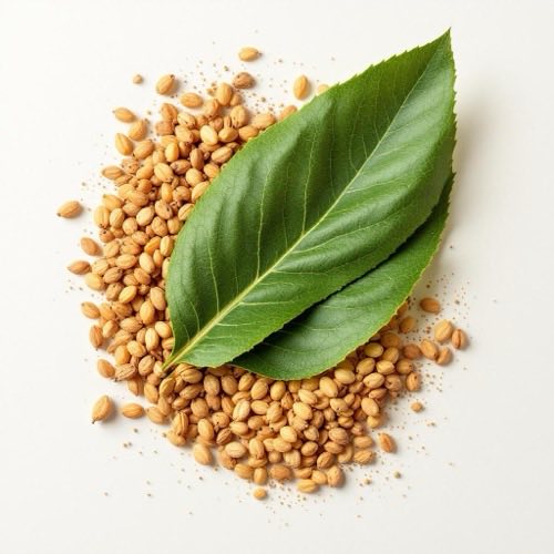 Ingrediente Nano Slim 29 Eur