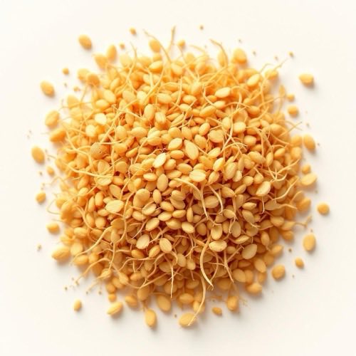 Raiz de ginseng fresca