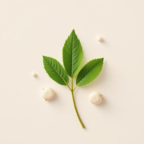 Raiz de valeriana em pó