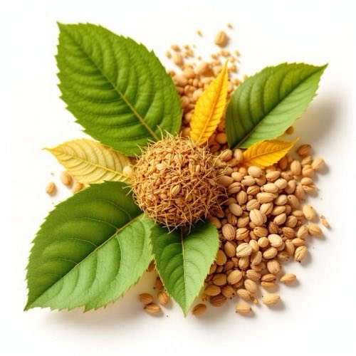 Selénio antioxidante natural