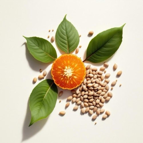 Vitamina E, compostos naturais antioxidantes