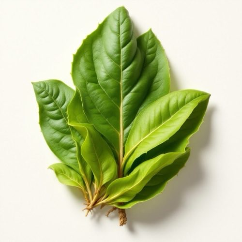 Arginină