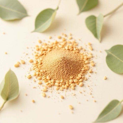 Camfor - ingredient cu efect de prospețime
