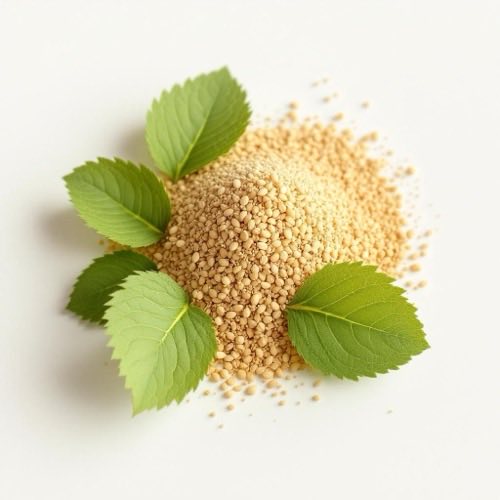 Extract de salvie - frunze aromatice de salvie officinalis