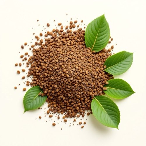Extract de semințe de cafea verde