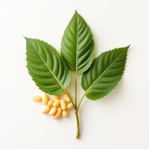 Glucozamină sub formă de cristale naturale