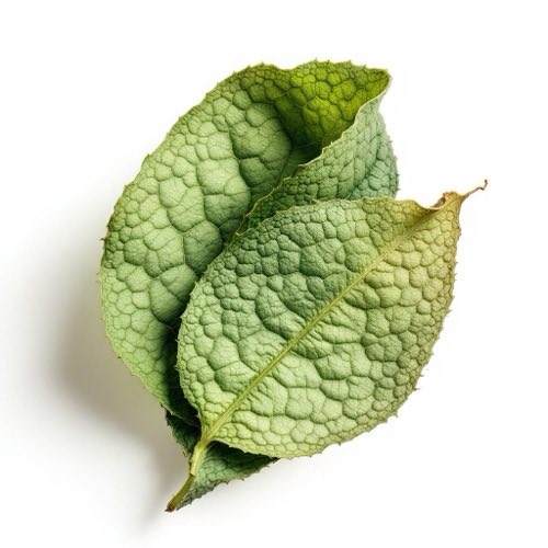 Ingredient cheie RASU