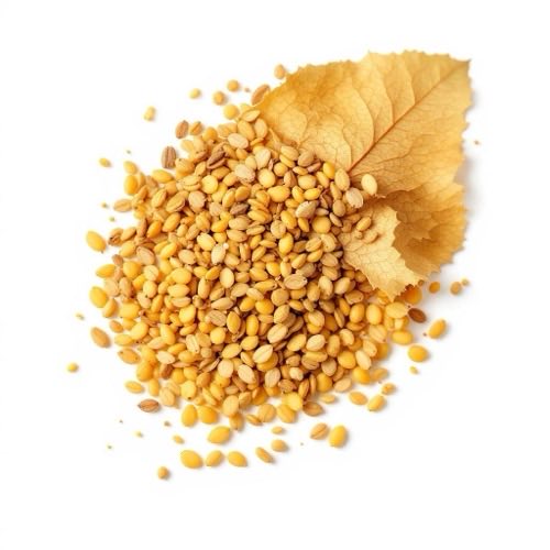 Rădăcină de tămâie (boswellia) în secțiune