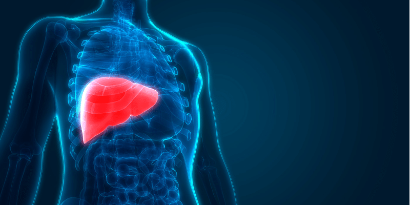Best Liver