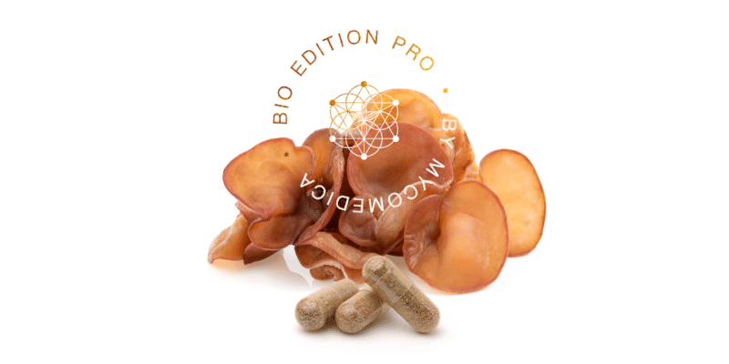 Auricularia