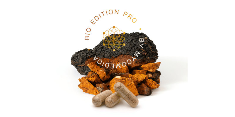 Chaga MycoMedica