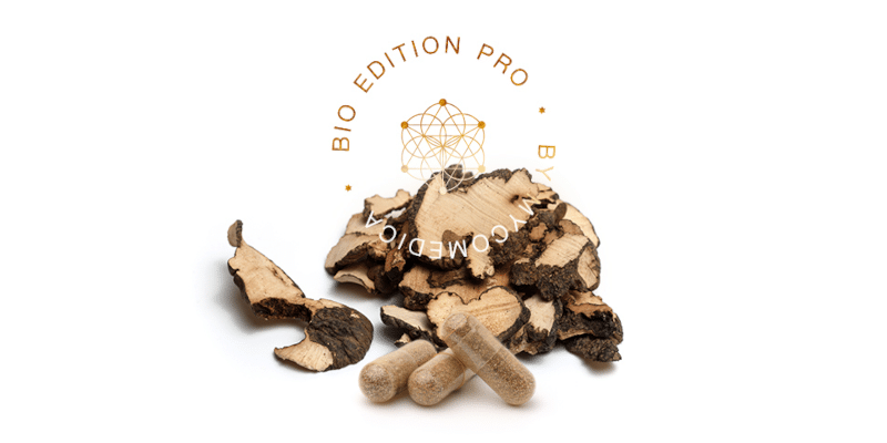 MycoMedica Polyporus