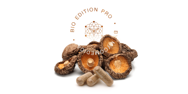 MycoMedica Shiitake