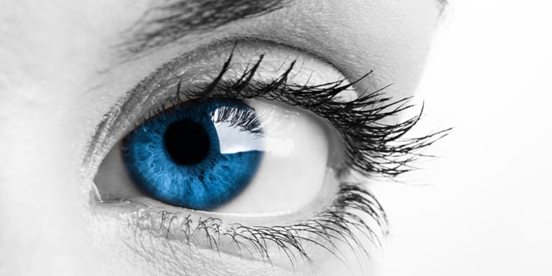 MitoVision
