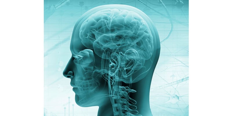 Neuro intercell